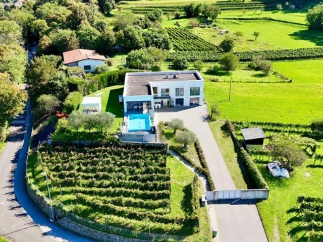 Repräsentative zeitgenössische Villa mit Garten, Pool und privatem Weinberg
