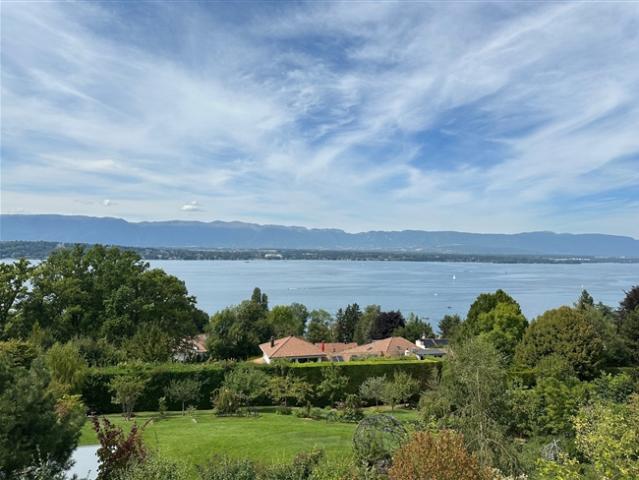 Repräsentative Büros mit Seeblick