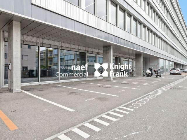 Restaurant for rent in Carouge GE 288 m² | dreamo. Ch
