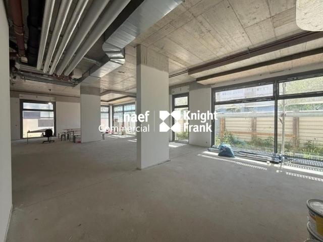 Restaurant for rent in Genève 382 m² | dreamo. Ch