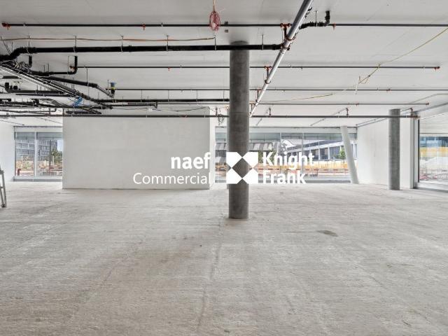 Restaurant for rent in Plan les Ouates 421 m² | dreamo. Ch