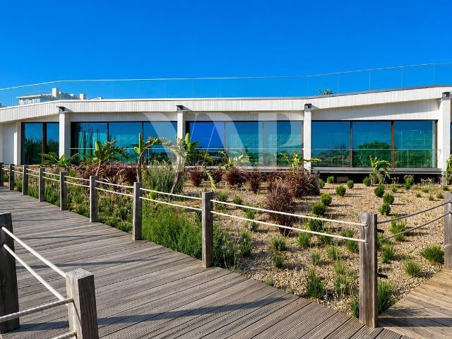 Restaurante / Beach Club em Primeira Linha de Mar, Quarteira. 485m² Quarteira