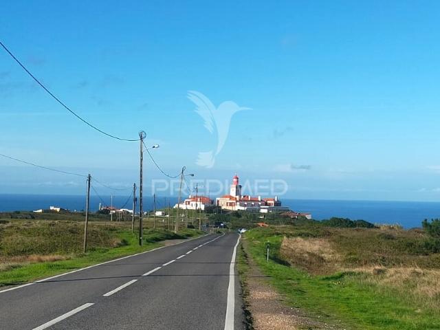 Restaurante | Colares | Sintra