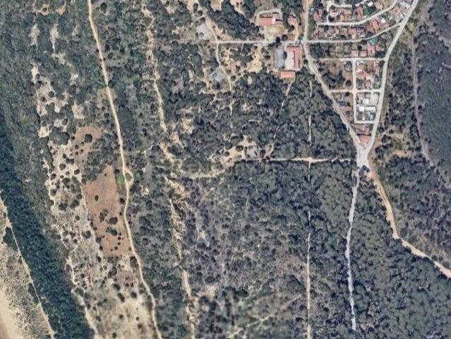 Restaurante em União das Freguesias de Charneca de Caparica