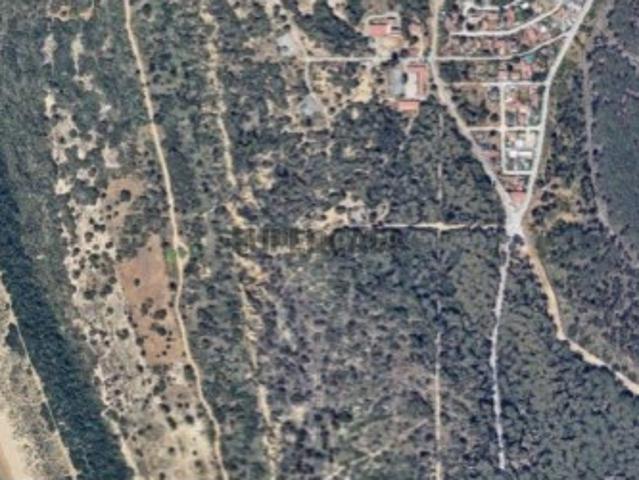 Restaurante em União das Freguesias de Charneca de Caparica