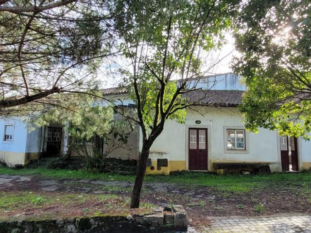 Restaurante Ribeira de Alge