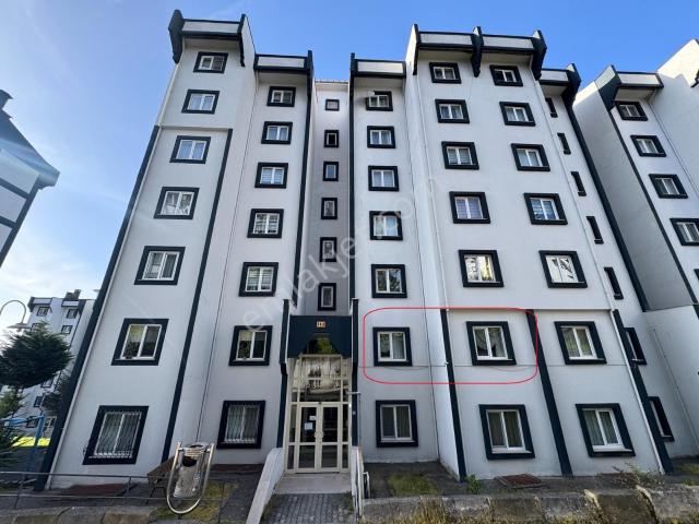 Resuloğlu Emlak'tan Eskipazar Toki'de Tadilat Yapılmış Daire