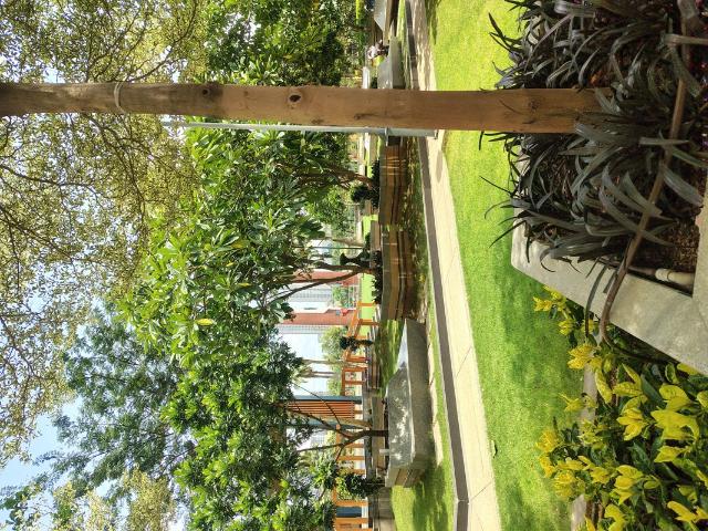 Resale | 3 BHK + 2660 Sq.Ft. Apartment in Rajapushpa Provincia