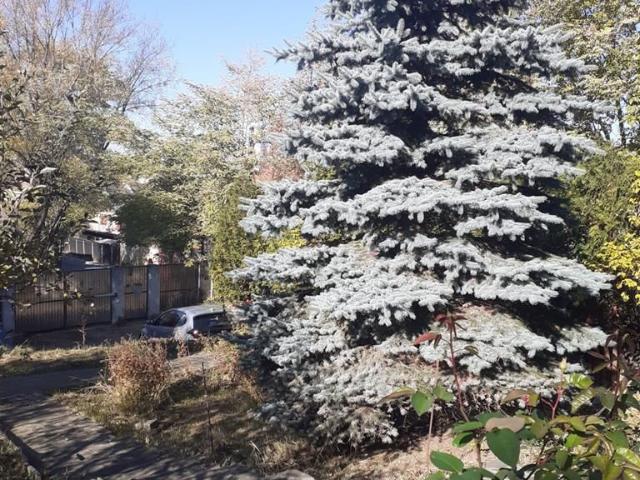 Resedinta distinsa, cu parc privat, areal privilegiat