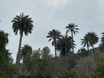Reserva Oasis la campana, hijuelas