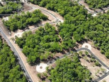 Reserva Fincas