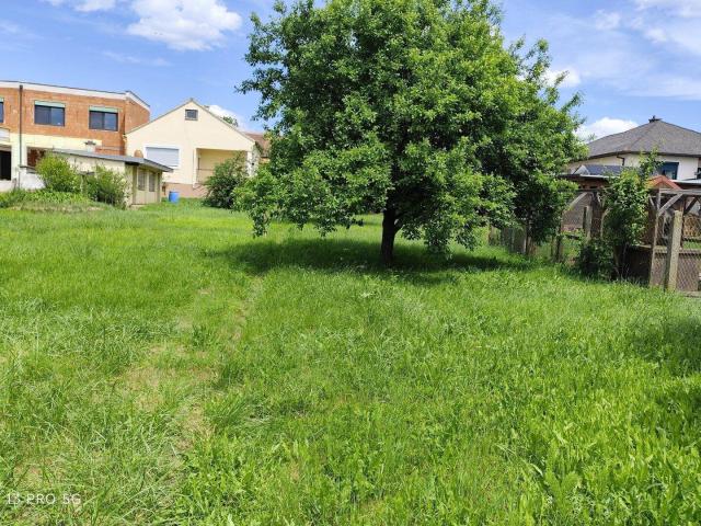 2 Wohnhäuser mit großem Garten, Großpetersdorf
