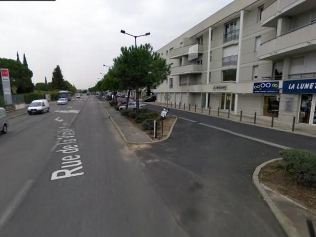 RESIDENCE LE BENJAMIN~ MILLENAIRE