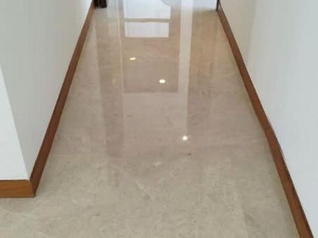 Residences @ Evelyn D11, Condominium