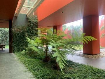 Residencia en Coyoacan