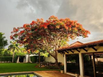 RESIDENCIA LOMAS DEL CASTILLO