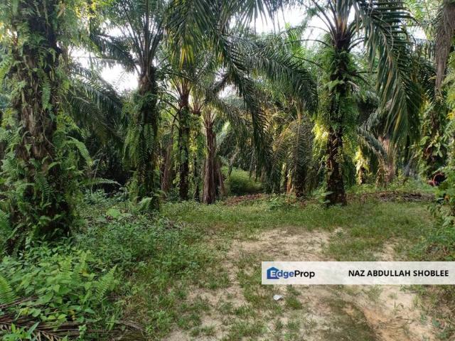 RESIDENTIAL ZONING| Agriculture Land, Seksyen U15, Bukit Cerakah For Sale