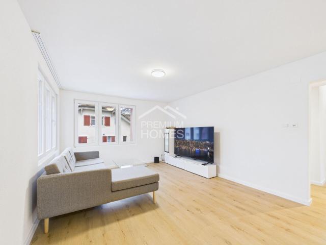 Residential building with 13.5 rooms on sale in Neuhausen am Rheinfall 960 m² | dreamo. Ch