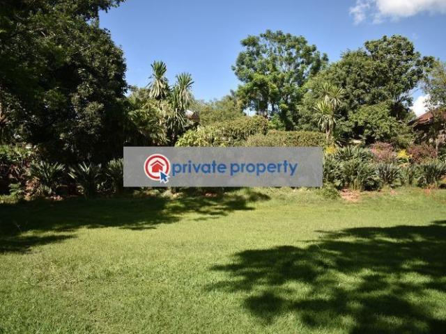 Residential / Commercial Plot