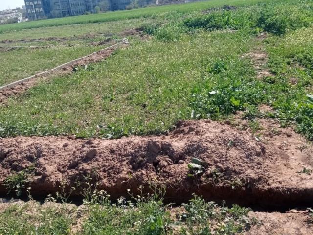 Residential & commercial plot Islamabad Chatha Bakhtawar ID 67995