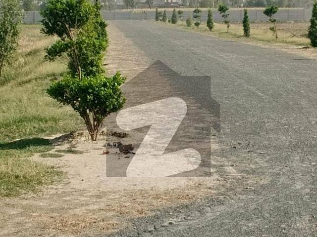Residential Farmhouse Plot For sale Is Readily Available In Prime Location Of Barki Meadows