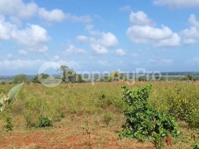 Residential Land for sale Malindi/Tsavo Rd, Kakuyuni Malindi Kilifi PID: 4AMKU | PropertyPro