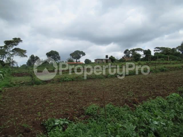 Residential Land for sale Ruku Wangige, Ngecha Tigoni Kiambu PID: 5BHAT | PropertyPro