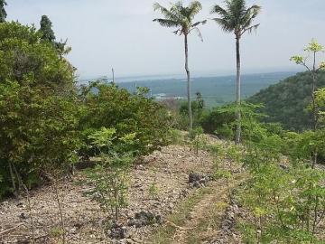 Residential Lot for sale in San Carlos