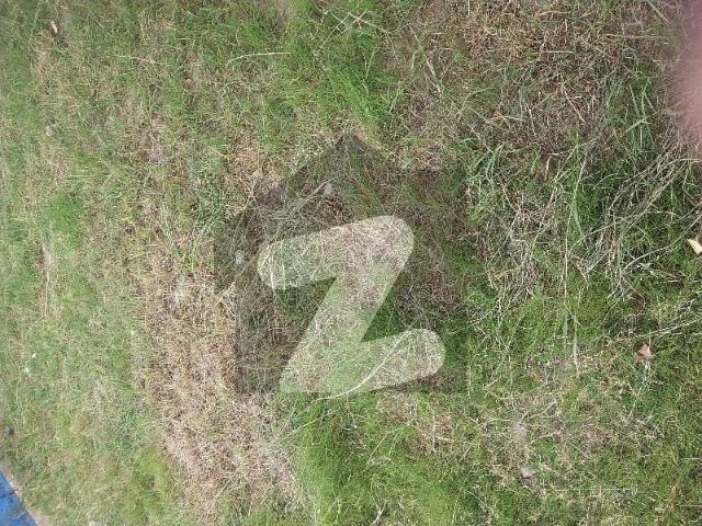 Residential Plot Of 4500 Square Feet For Sale In National Police Foundation O 9 Block D