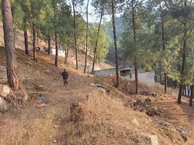 Residential plot for sale Abbottabad ID 53005