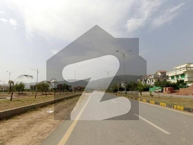 Plot For Sale In D 12 Prime Location Deal!