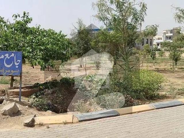 Residential Plot For Sale In Soomra Society