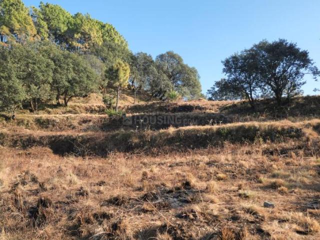Residential Plot in Mukteshwar for resale Nainital. The reference number is 20697327