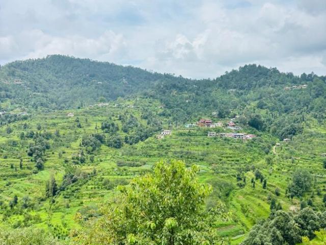 Residential Plot in Mukteshwar for resale Nainital. The reference number is 20842687