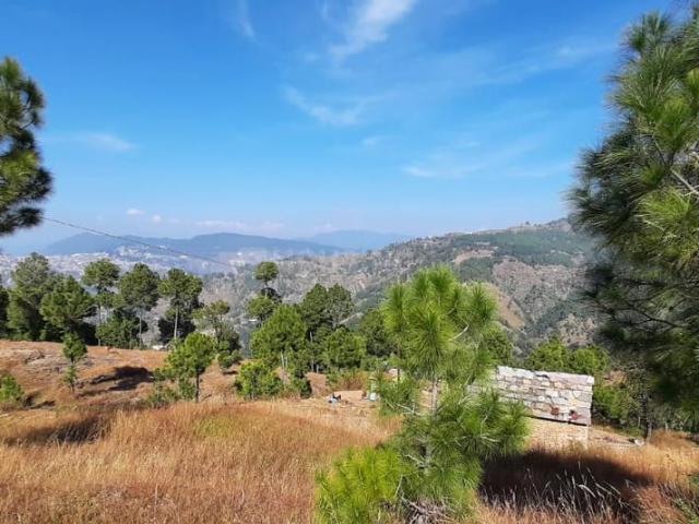 Residential Plot in Mukteshwar for resale Nainital. The reference number is 20891850