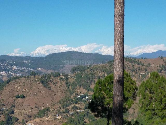 Residential Plot in Mukteshwar for resale Nainital. The reference number is 20891816