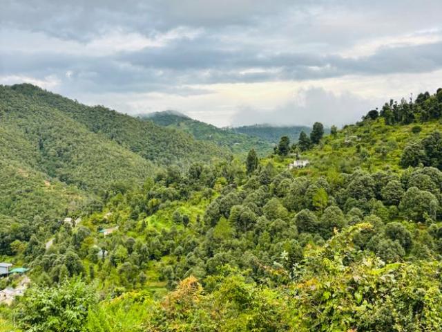Residential Plot in Mukteshwar for resale Nainital. The reference number is 20815175