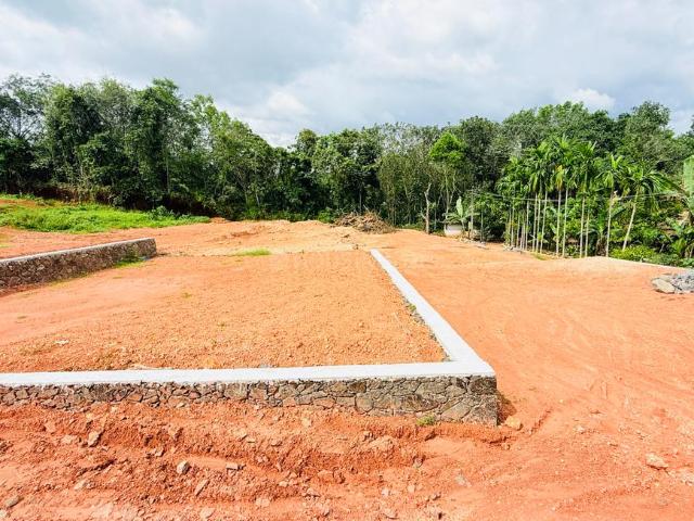 Residential Plot in Mulanthuruthy for resale Kochi. The reference number is 20510804