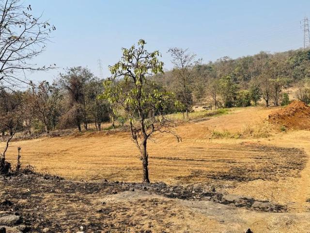 Residential Plot in Mulashi for resale Raigad. The reference number is 19728013