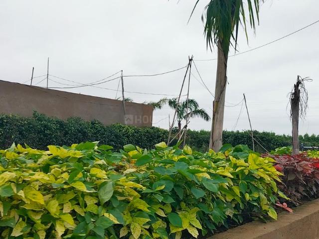Residential Plot in Mundara for resale Raipur. The reference number is 20360085