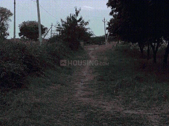 Residential Plot in Mundoti for resale Ajmer. The reference number is 20291638
