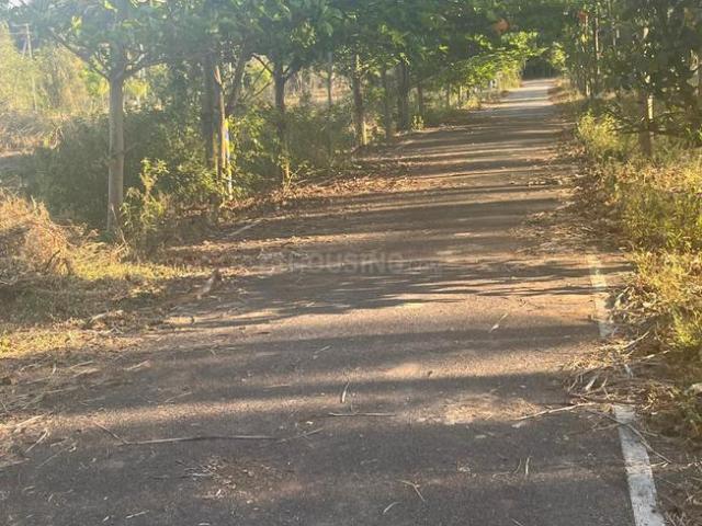 Residential Plot in Madaragalli for resale Mysore. The reference number is 17616826