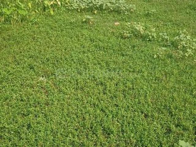 Residential Plot in Madhyamgram for resale Kolkata. The reference number is 14329358