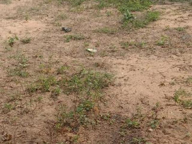 Residential Plot in Madhavaram Milk Colony for resale Chennai. The reference number is 9665810