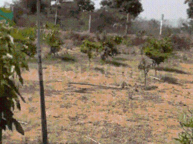 Residential Plot in Makadwali for resale Ajmer. The reference number is 17402072