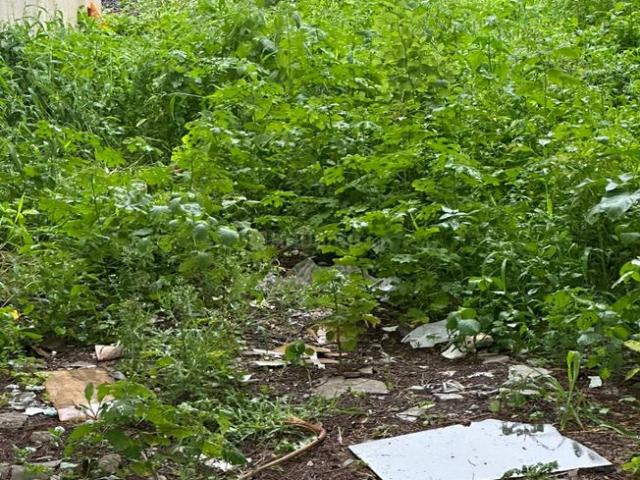 Residential Plot in Mahalakshmi Nagar for resale Indore. The reference number is 19299282