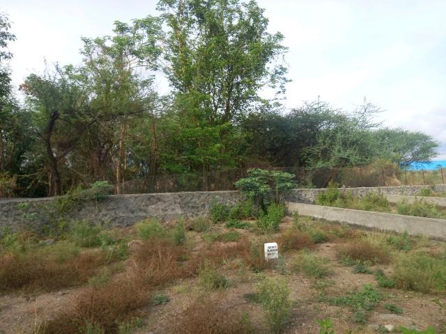 Residential Plot in Mahalunge for resale Pune. The reference number is 20300299