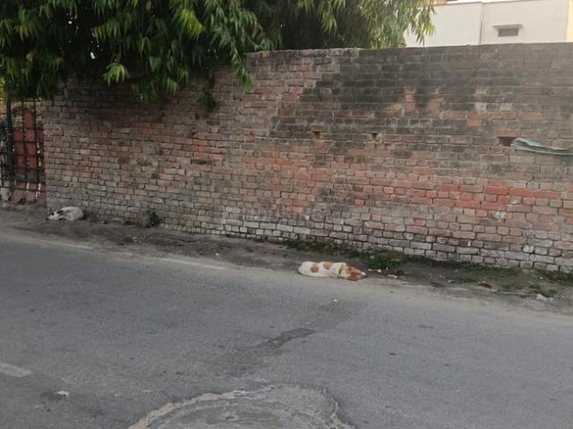 Residential Plot in Mahanagar for resale Lucknow. The reference number is 20196797