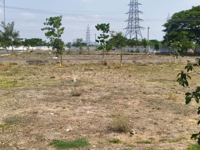 Residential Plot in Mahindra World City for resale Chennai. The reference number is 20422135