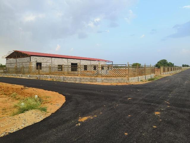 Residential Plot in Mandaiyur for resale Tiruchirappalli. The reference number is 20283459